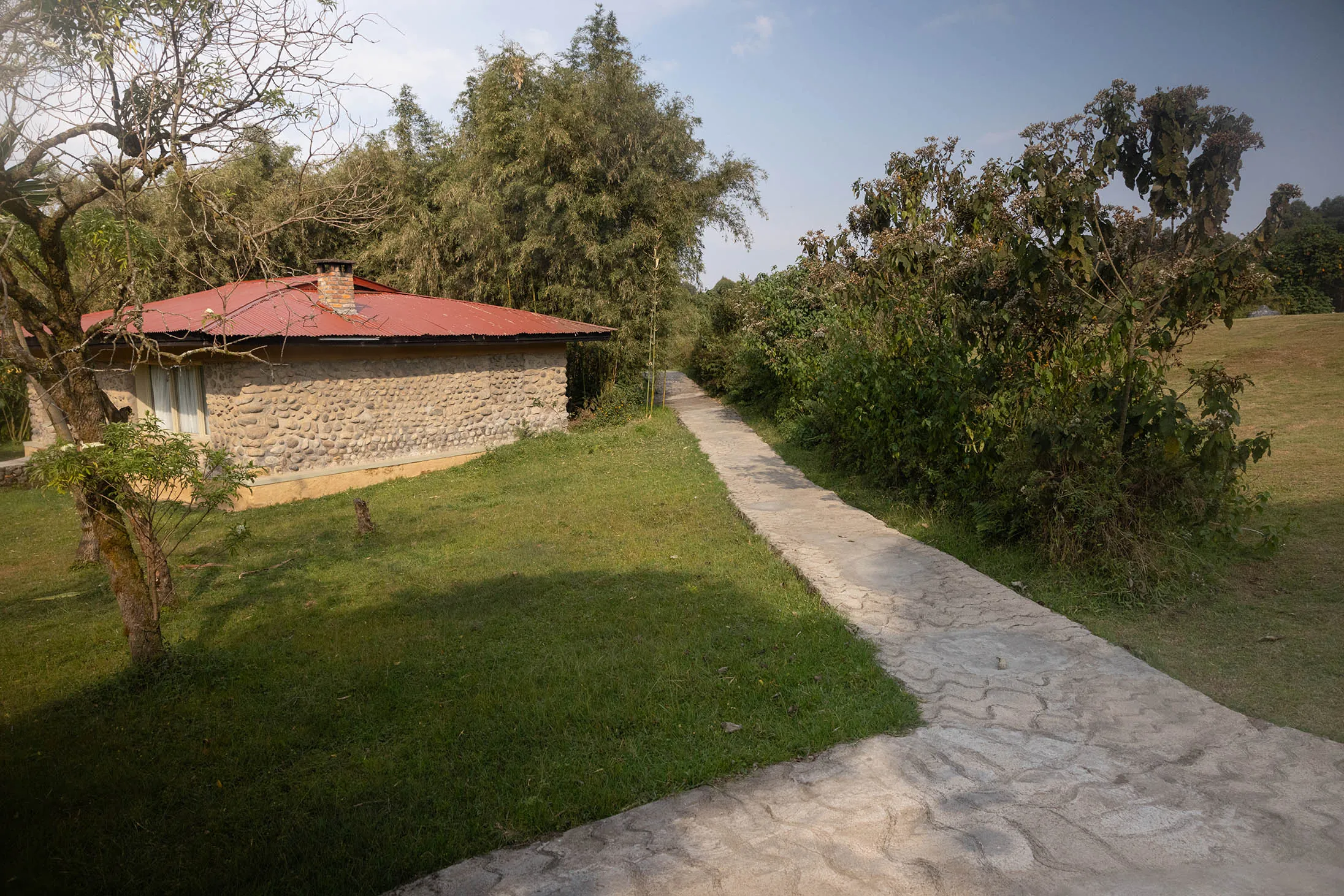 Mountain Gorilla View Lodge